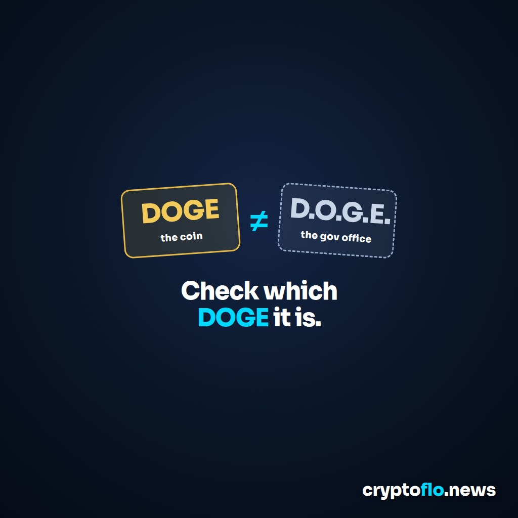 Two tilted name tags, a gold one reading DOGE, the coin, and a dashed grey one reading D.O.G.E., the gov office, separated by a not-equal sign above the words Check which DOGE it is.